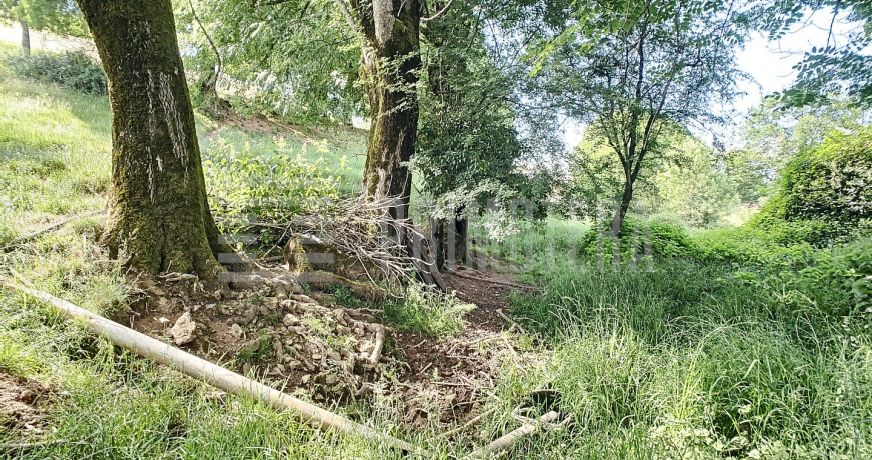 vente Ovins / caprins Albi