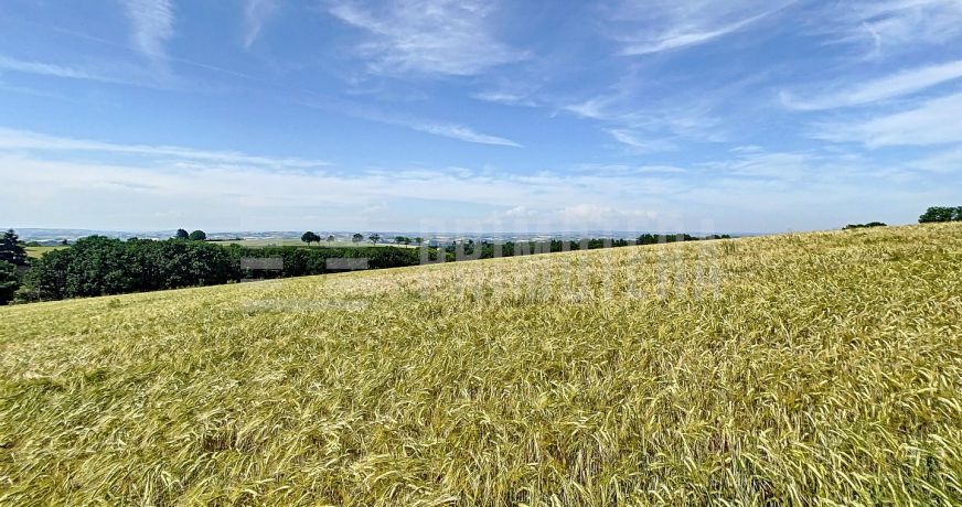 vente Ovins / caprins Albi