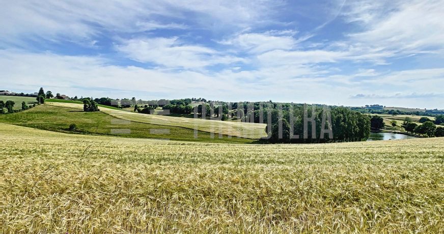 vente Ovins / caprins Albi