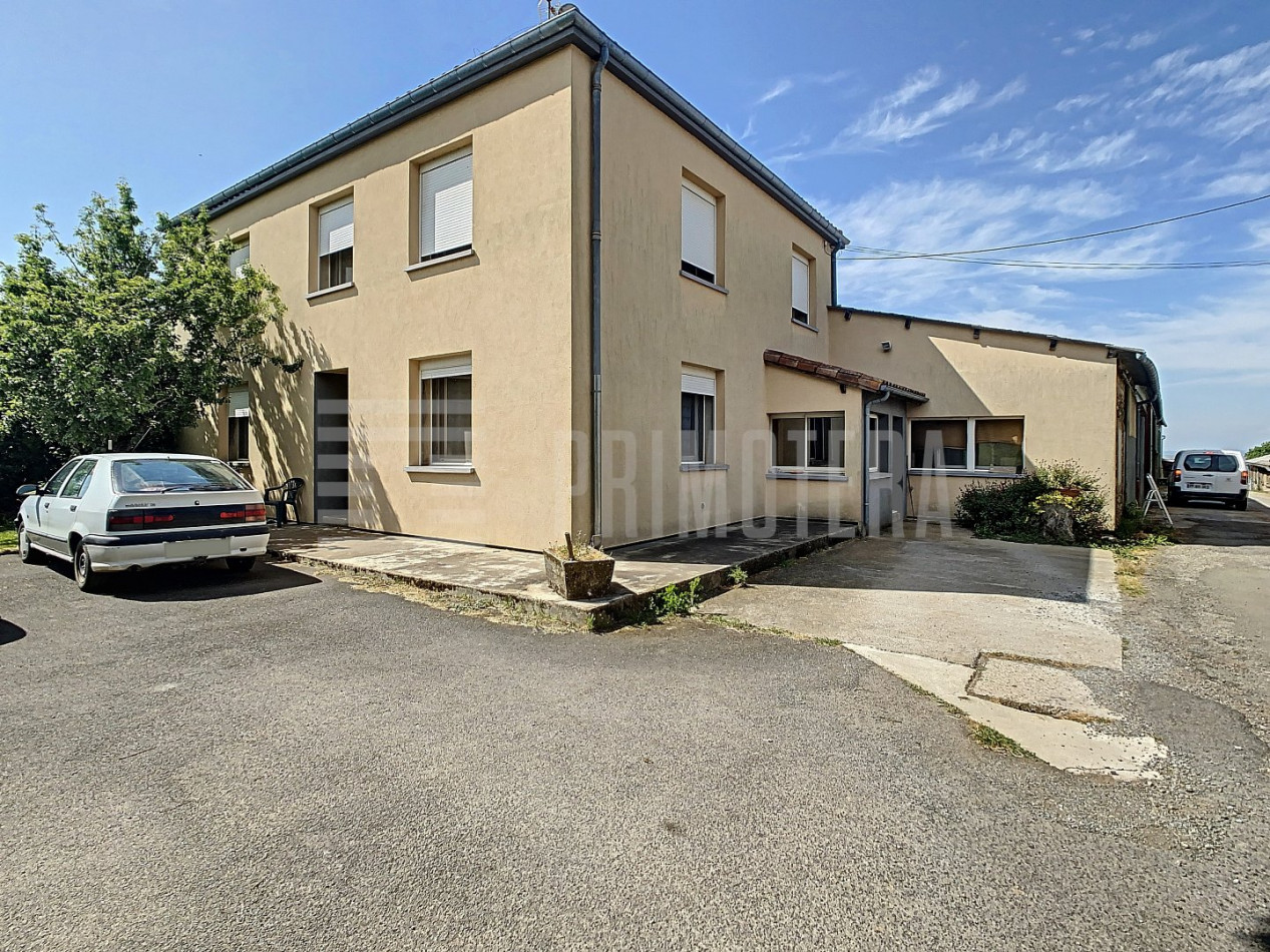 à vendre Ovins / caprins Albi - Photo 8