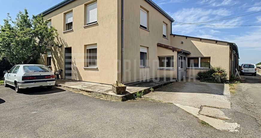 vente Ovins / caprins Albi