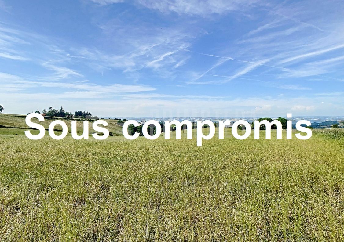 à vendre Ovins / caprins Albi