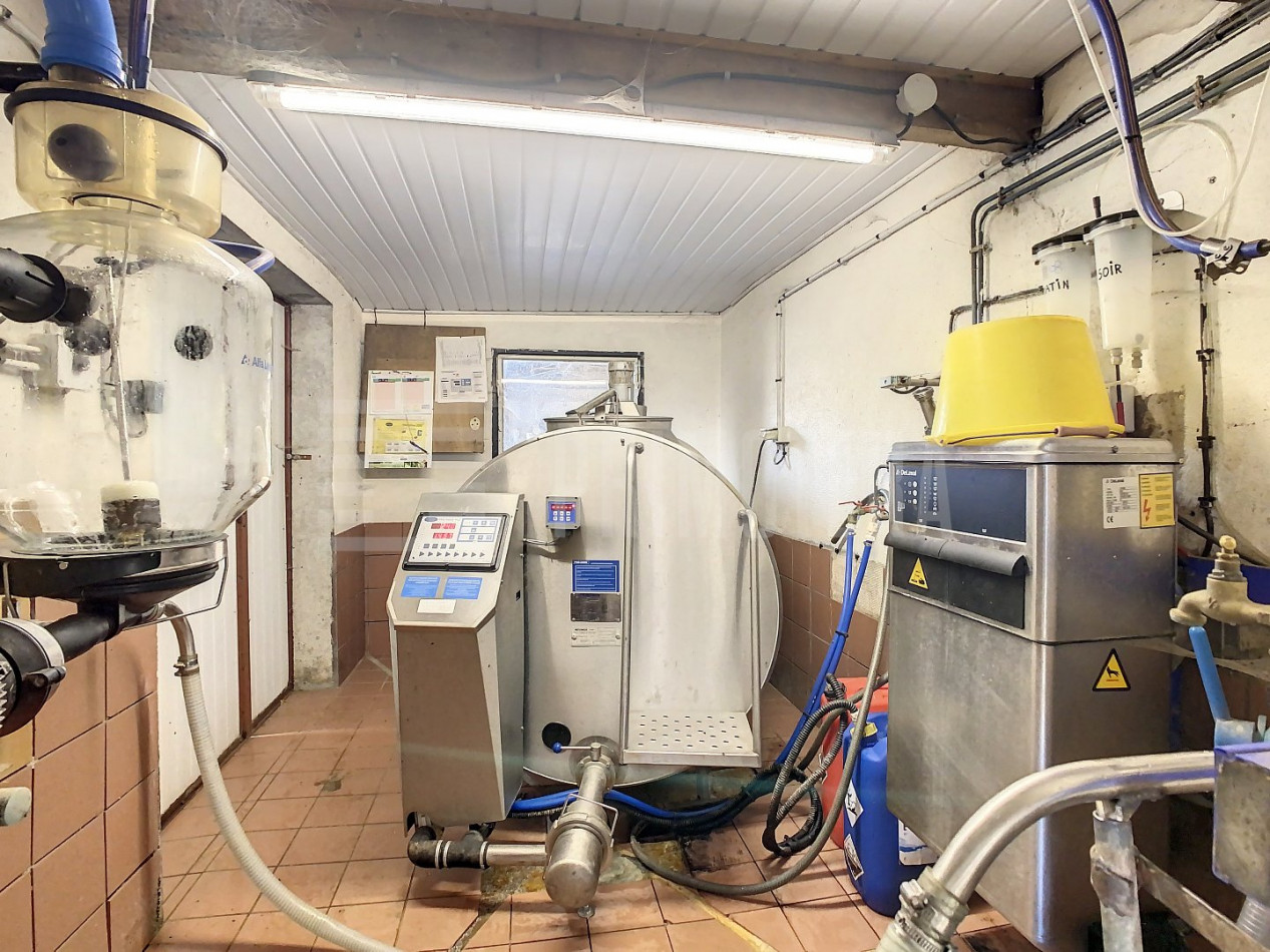 à vendre Ovins / caprins Albi - Photo 10