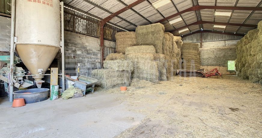 vente Ovins / caprins Albi