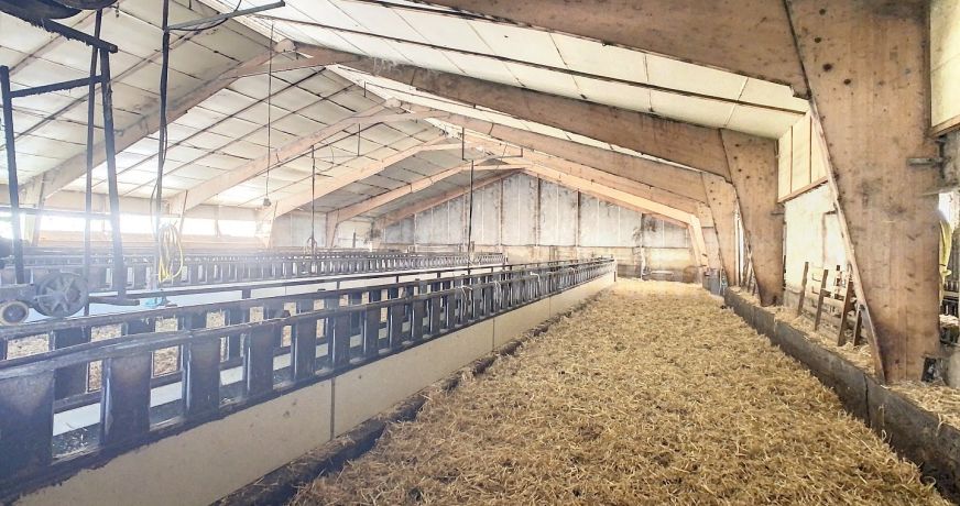 vente Ovins / caprins Albi