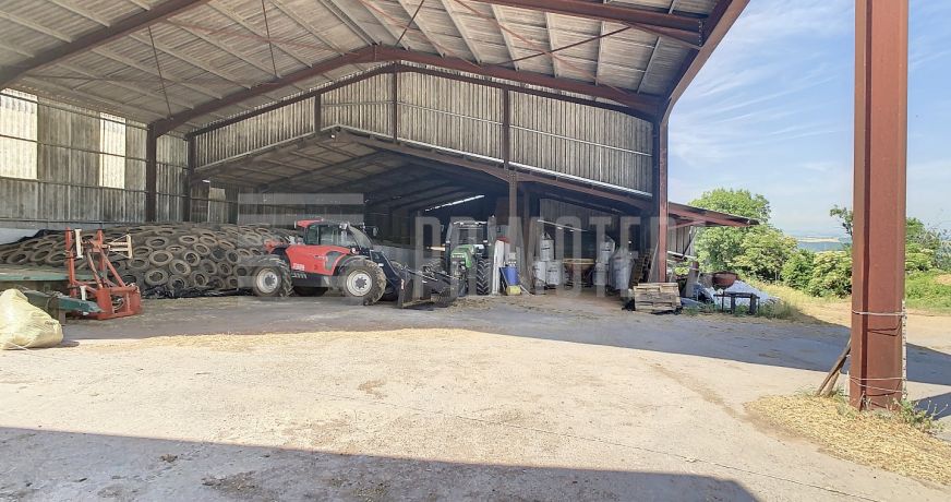 vente Ovins / caprins Albi