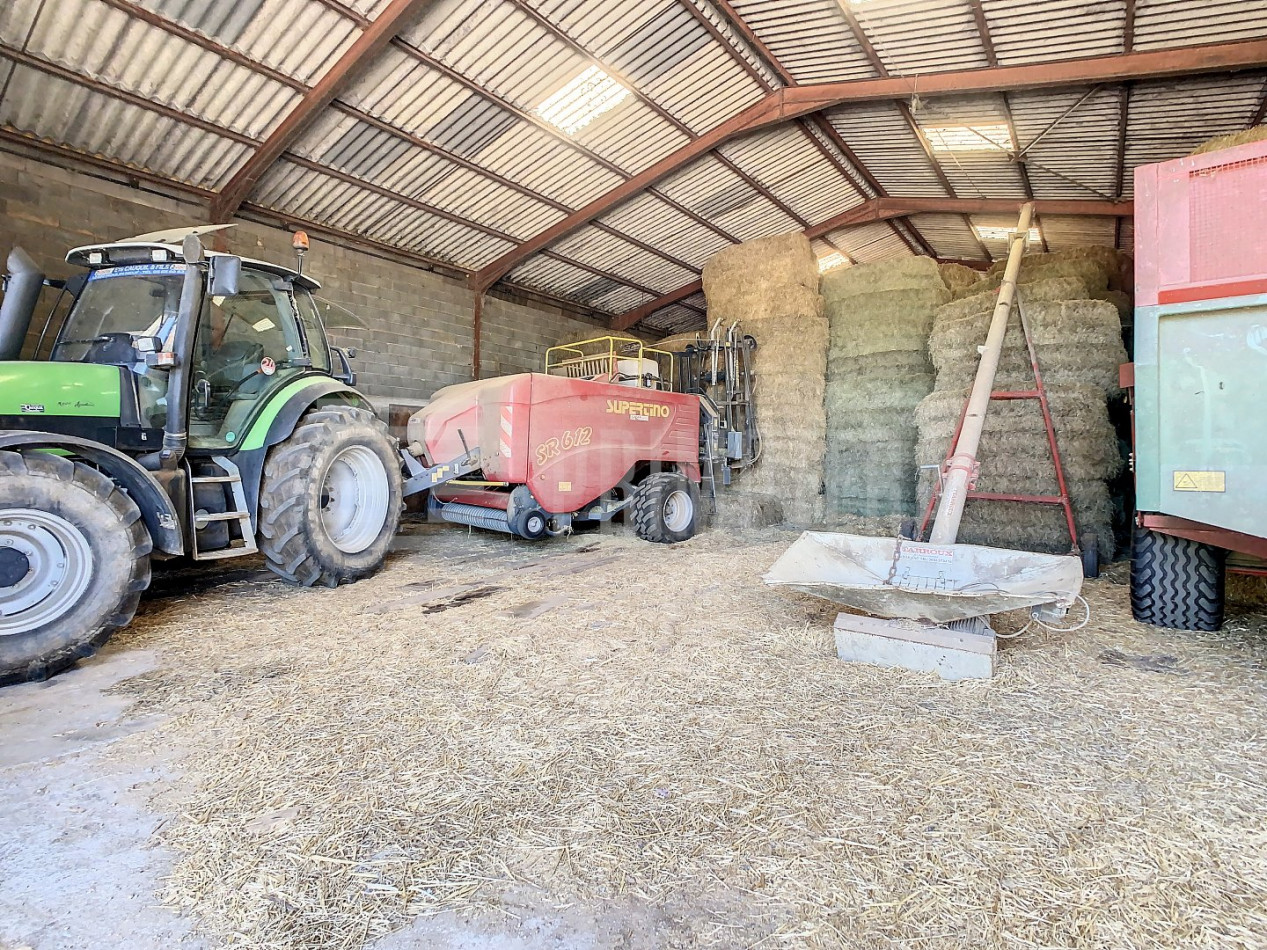 à vendre Ovins / caprins Albi - Photo 11