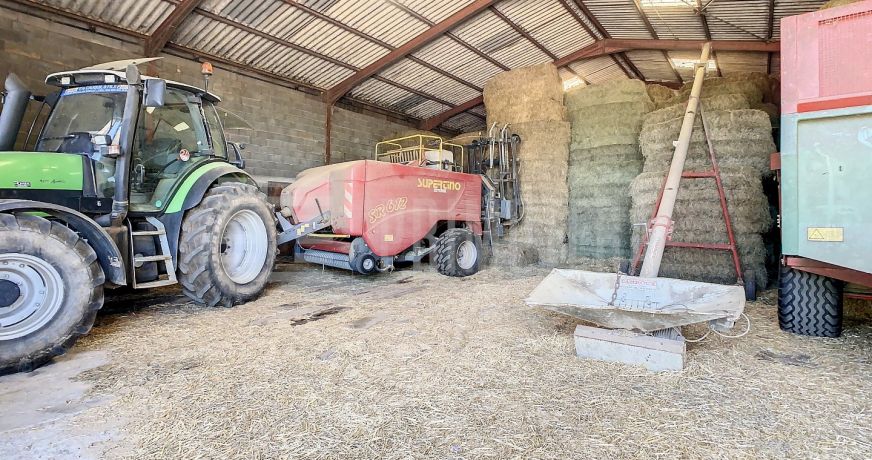 vente Ovins / caprins Albi