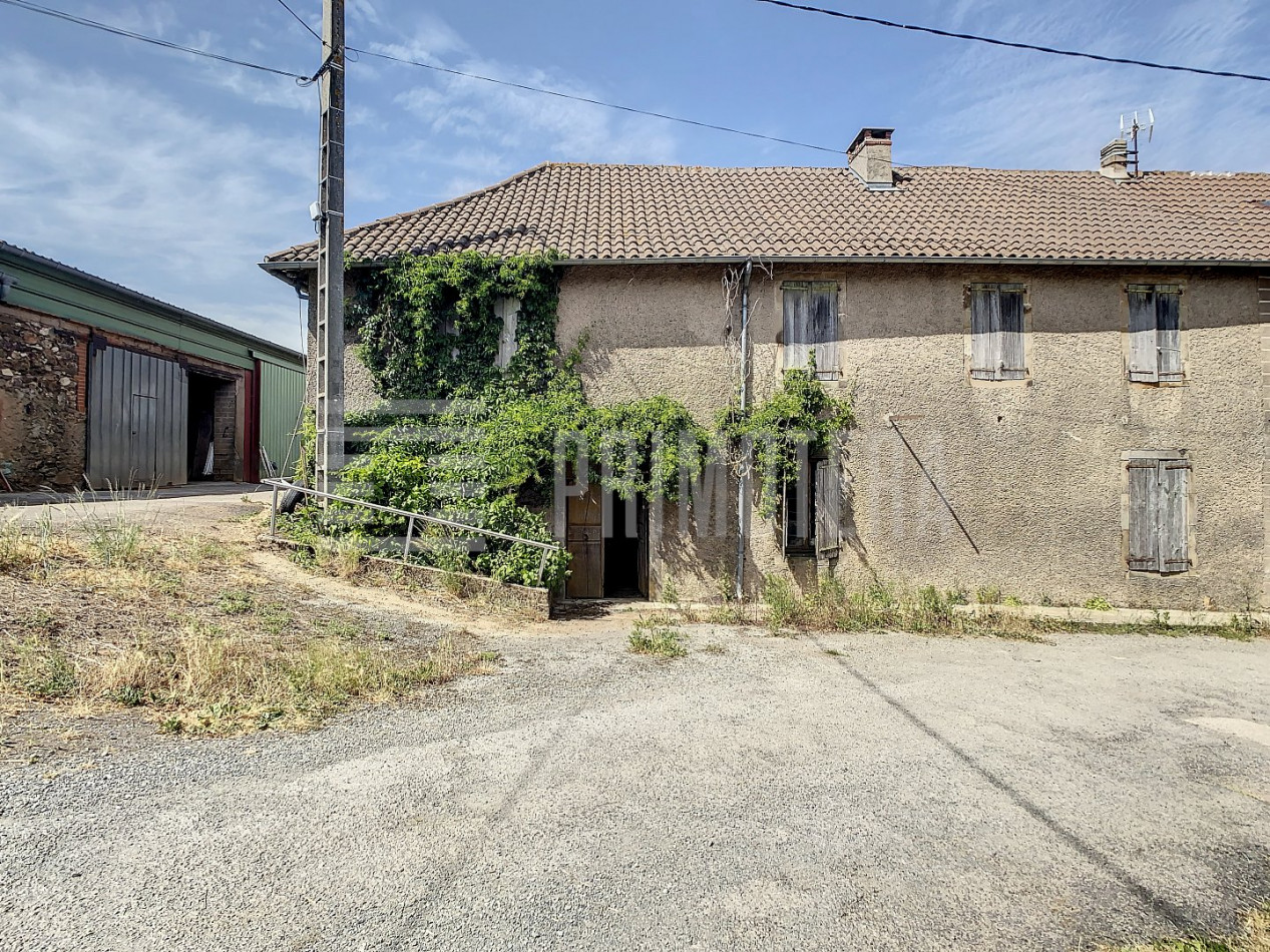 à vendre Ovins / caprins Albi - Photo 9