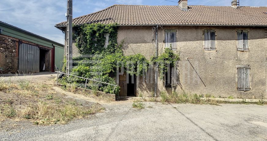 vente Ovins / caprins Albi