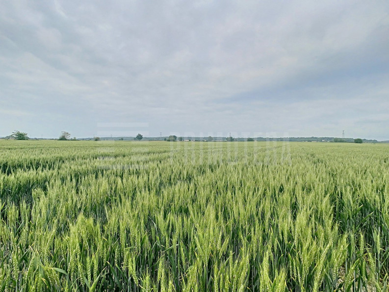 vente Terrain agricole Toulouse - Photo 1