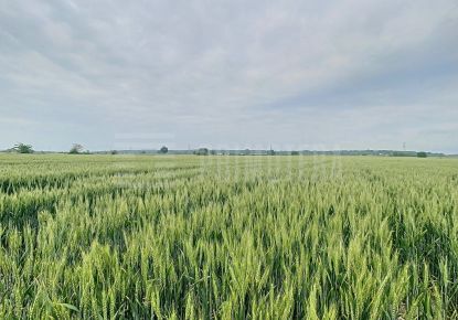 vente Terrain agricole Toulouse