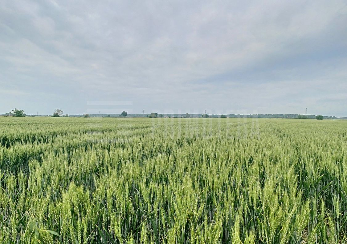 à vendre Terrain agricole Toulouse