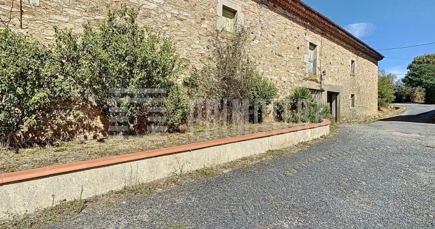 vente Ovins / caprins Realmont