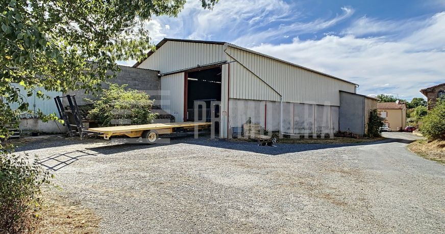 vente Ovins / caprins Realmont