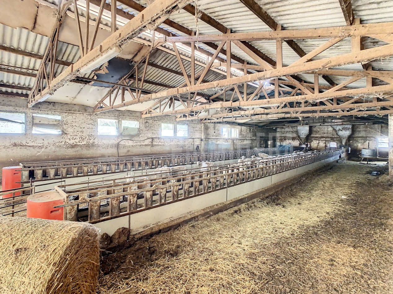 for sale Ovins / caprins Realmont - Photo 2