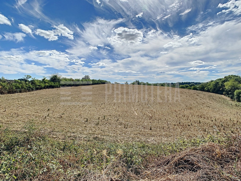 vente Ovins / caprins Realmont - Photo 6