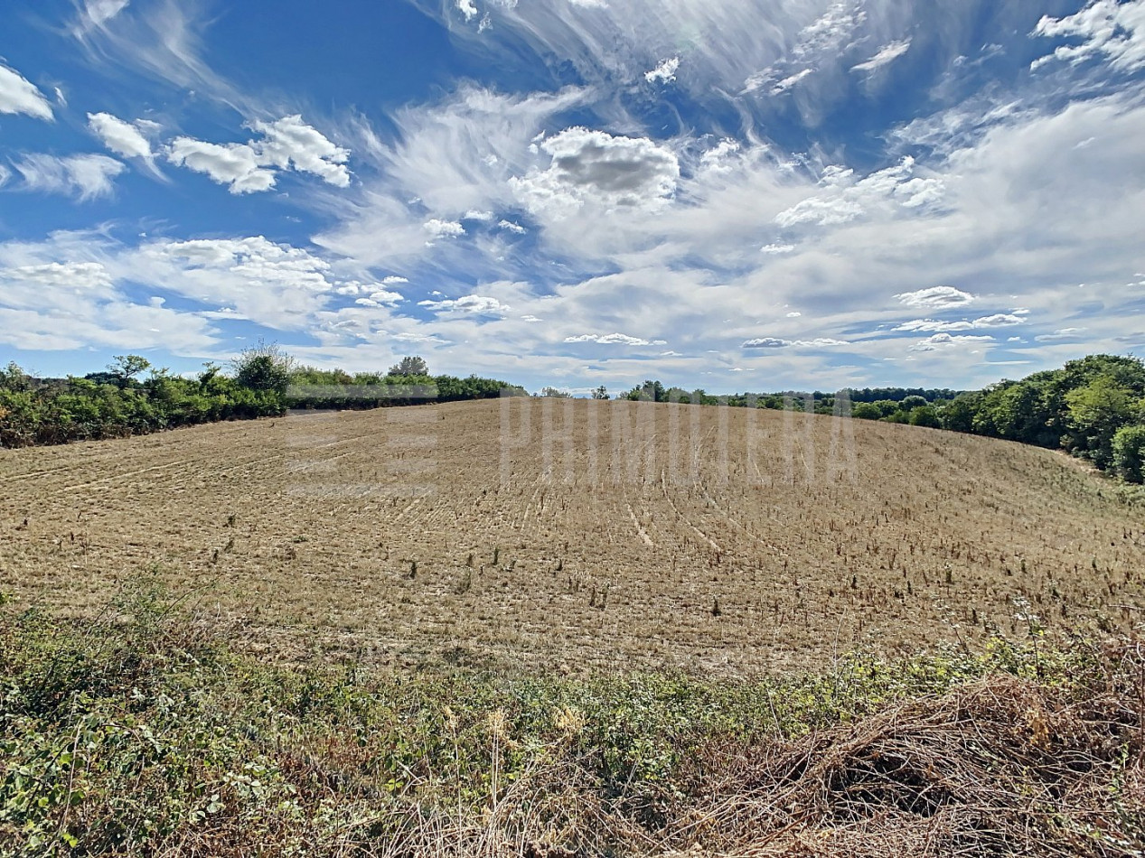 for sale Ovins / caprins Realmont - Photo 6