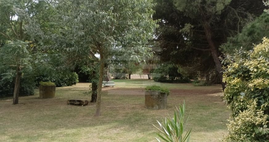 vente Demeure Carcassonne