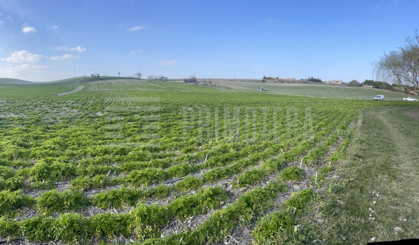 sale Terrain agricole Castelnaudary