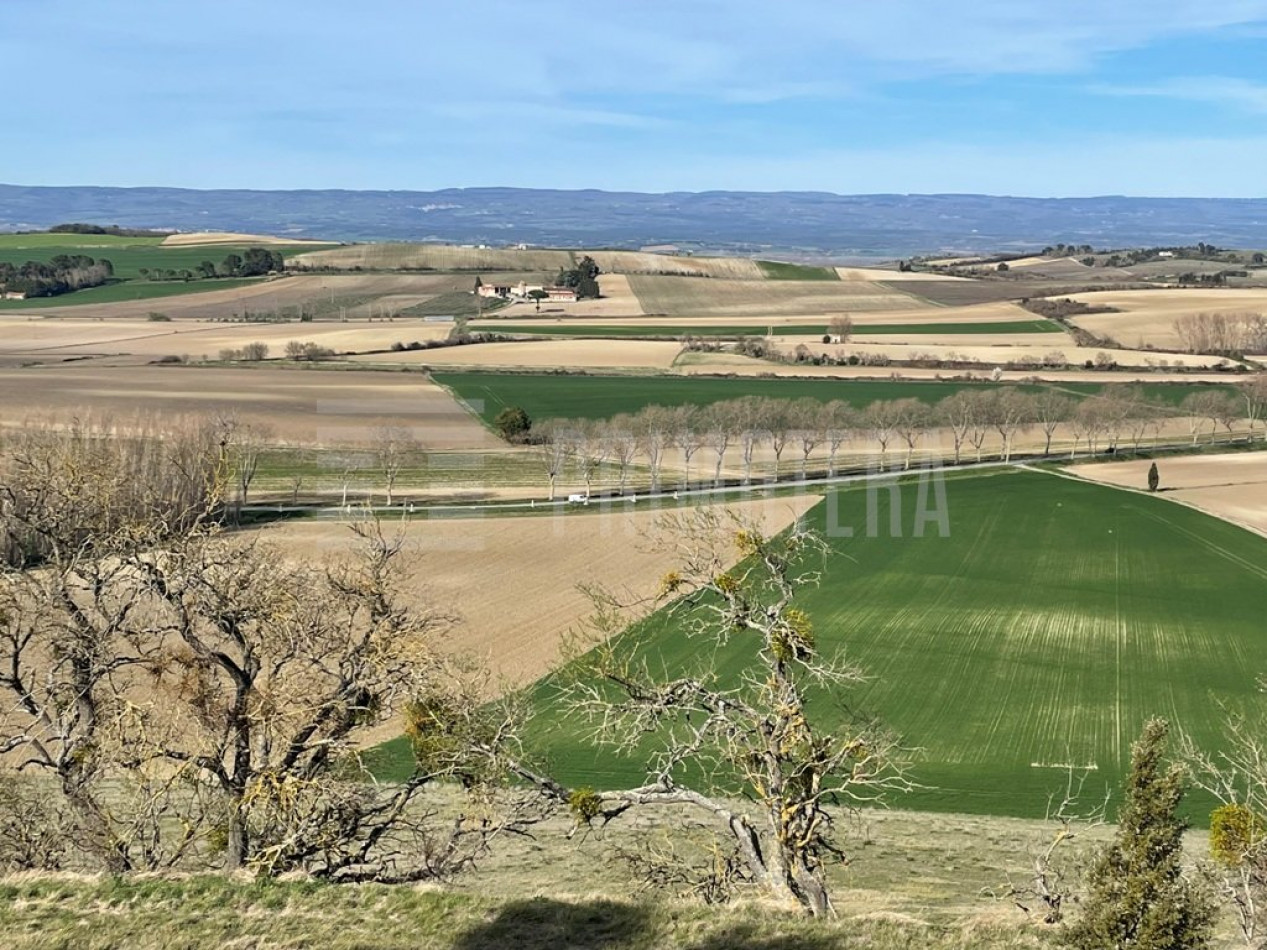 vente Terrain agricole Castelnaudary