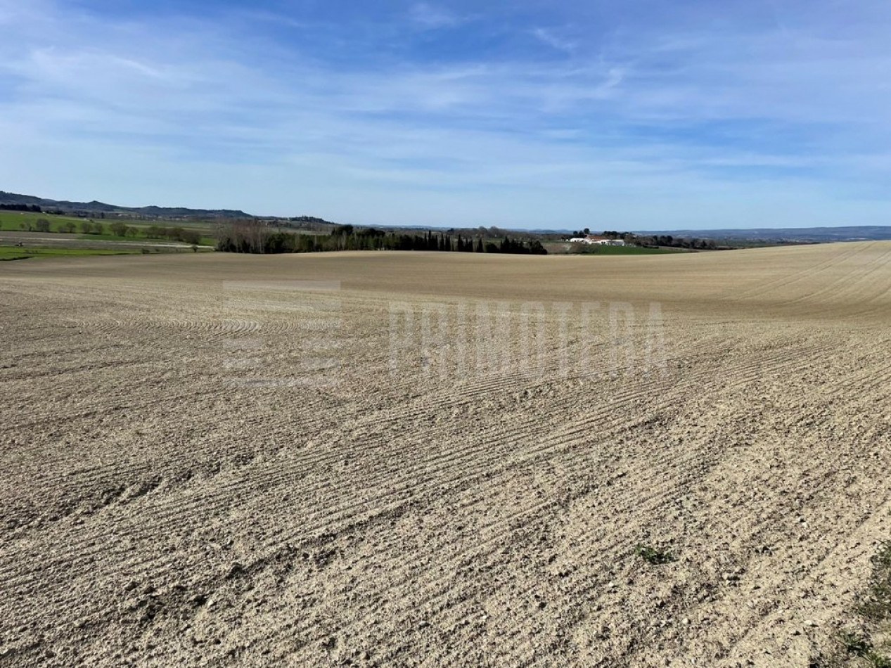 vente Terrain agricole Castelnaudary