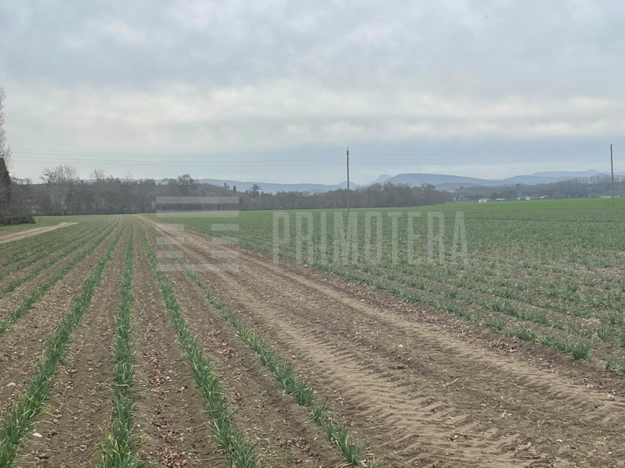 sale Terrain agricole Castelnaudary