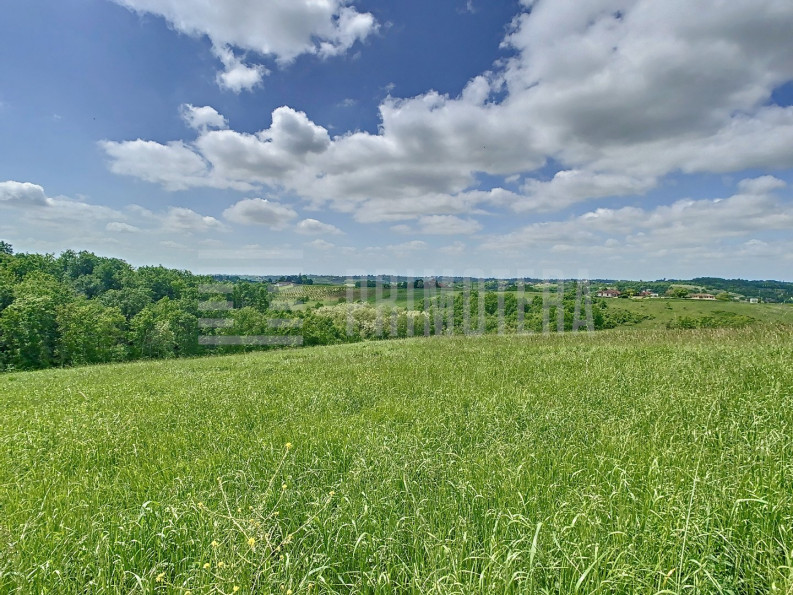 vente Propriété agricole Moissac - Photo 10