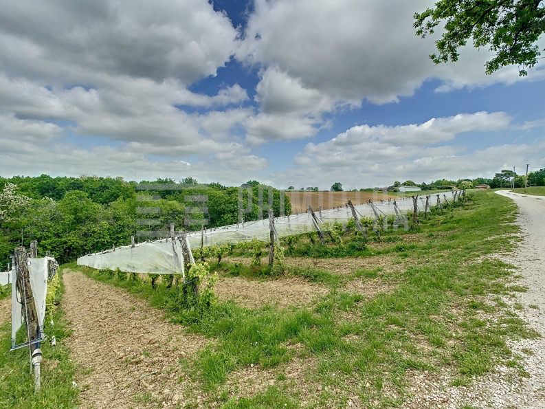 vente Propriété agricole Moissac - Photo 8