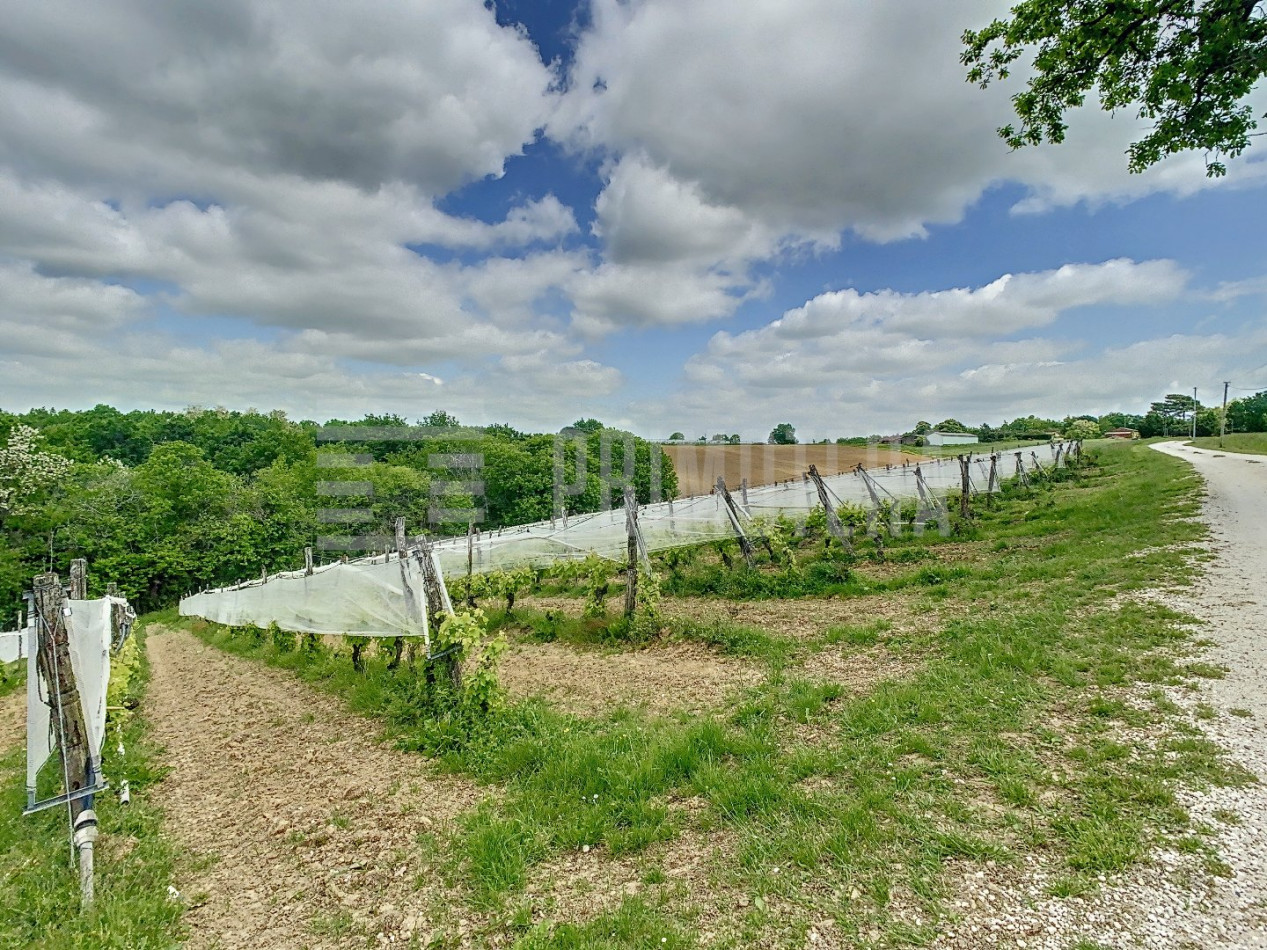 à vendre Propriété agricole Moissac - Photo 8