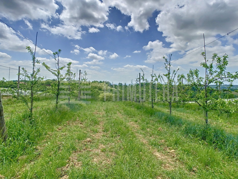 vente Propriété agricole Moissac - Photo 9