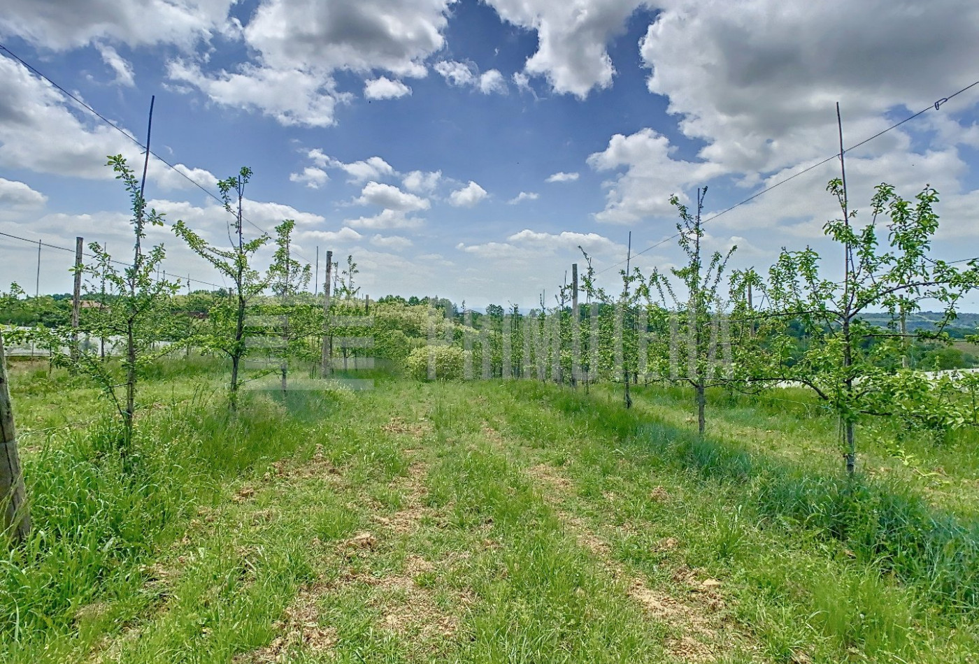 vente Propriété agricole Moissac - Photo 9