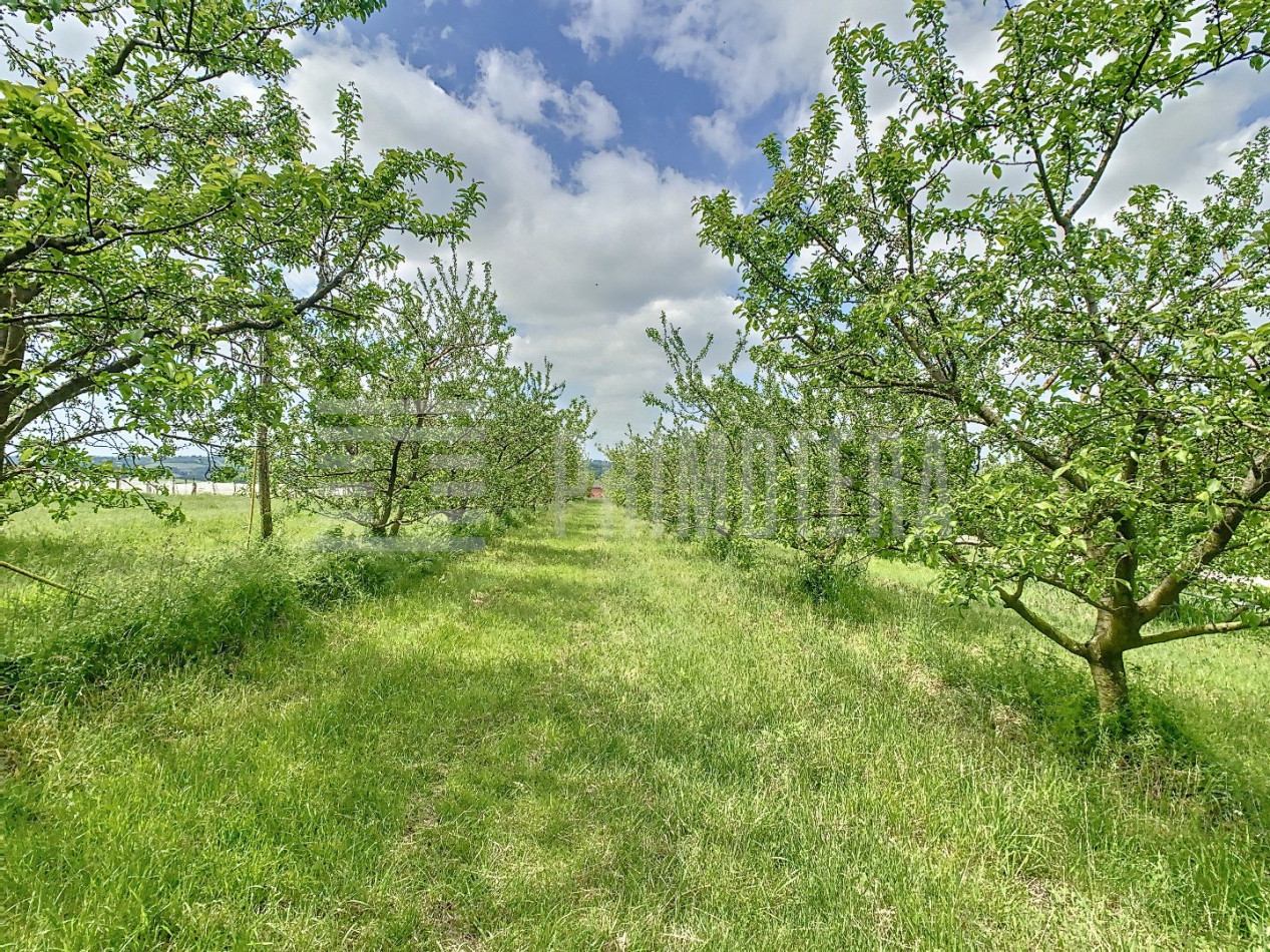 à vendre Propriété agricole Moissac - Photo 7