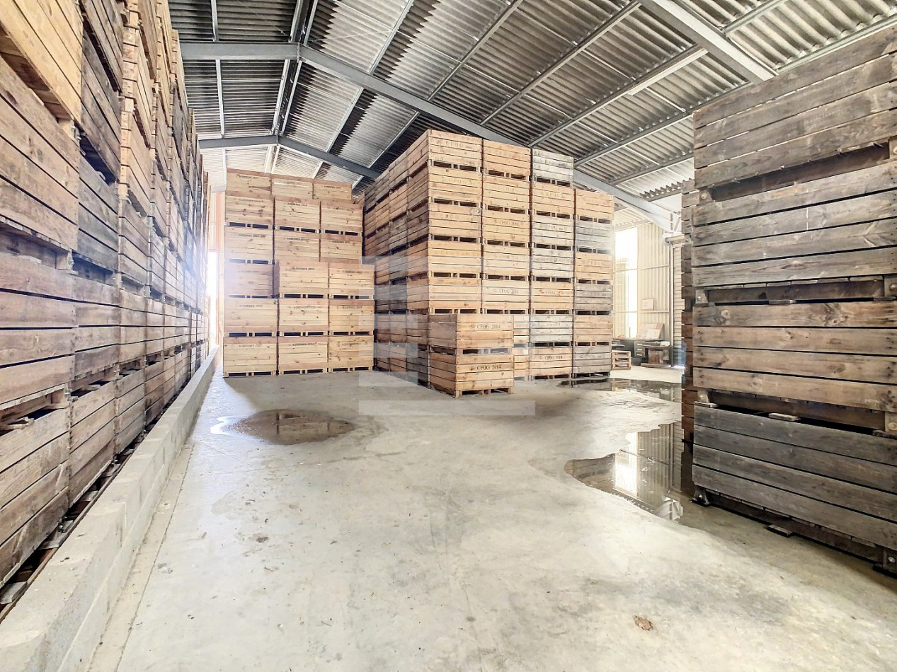 for sale Propriété arboricole Castelsarrasin - Photo 11