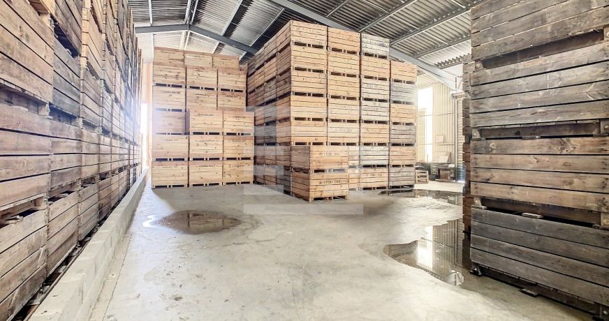 vente Propriété arboricole Castelsarrasin