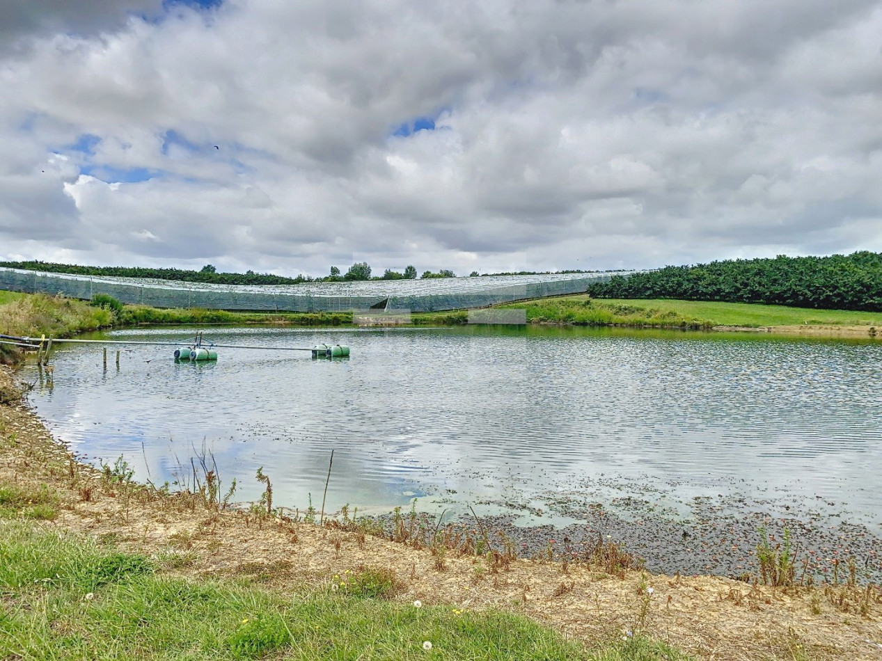 for sale Propriété arboricole Castelsarrasin - Photo 1