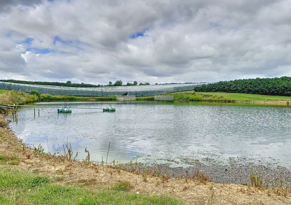 à vendre Propriété arboricole Castelsarrasin