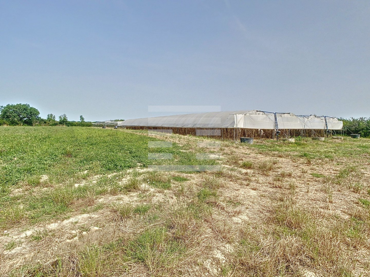 for sale Horticole /maraîchage Toulouse - Photo 13