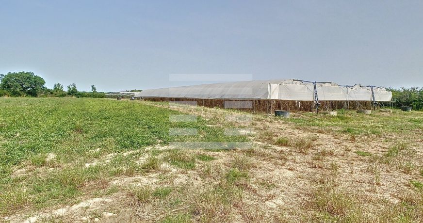 vente Horticole /maraîchage Toulouse