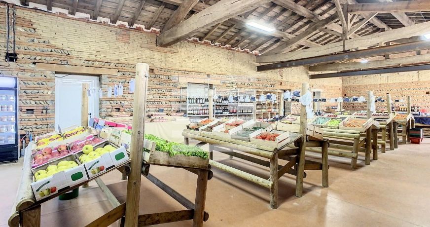 vente Horticole /maraîchage Toulouse