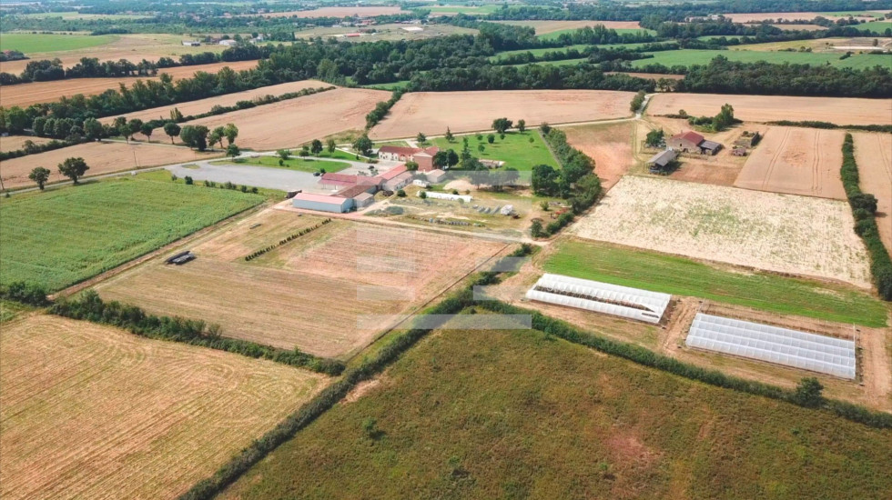 vente Horticole /maraîchage Toulouse - Photo 1