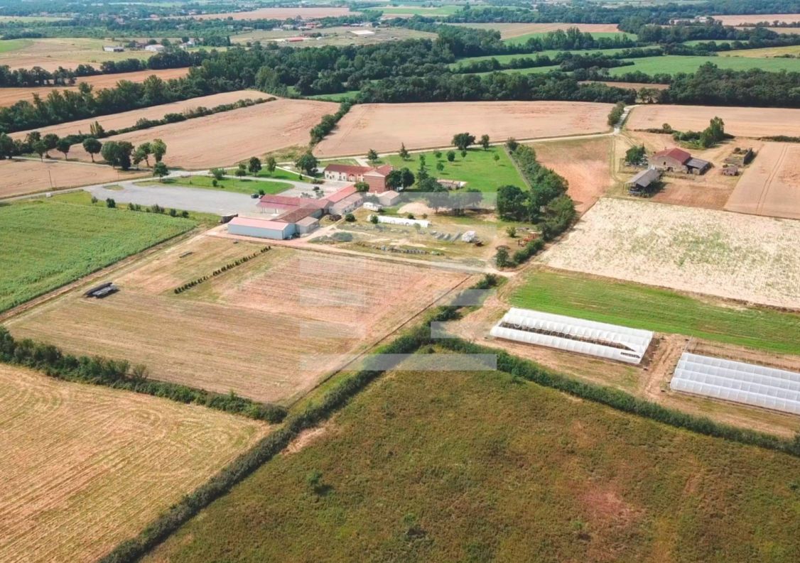 à vendre Horticole /maraîchage Toulouse