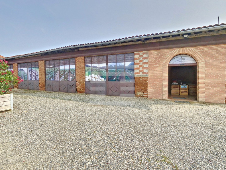 vente Horticole /maraîchage Toulouse - Photo 3