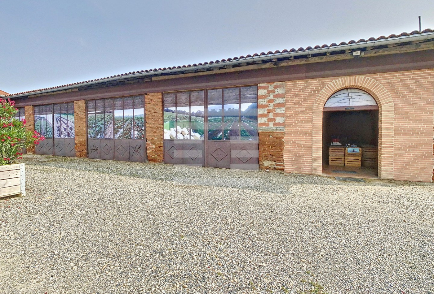 vente Horticole /maraîchage Toulouse - Photo 3