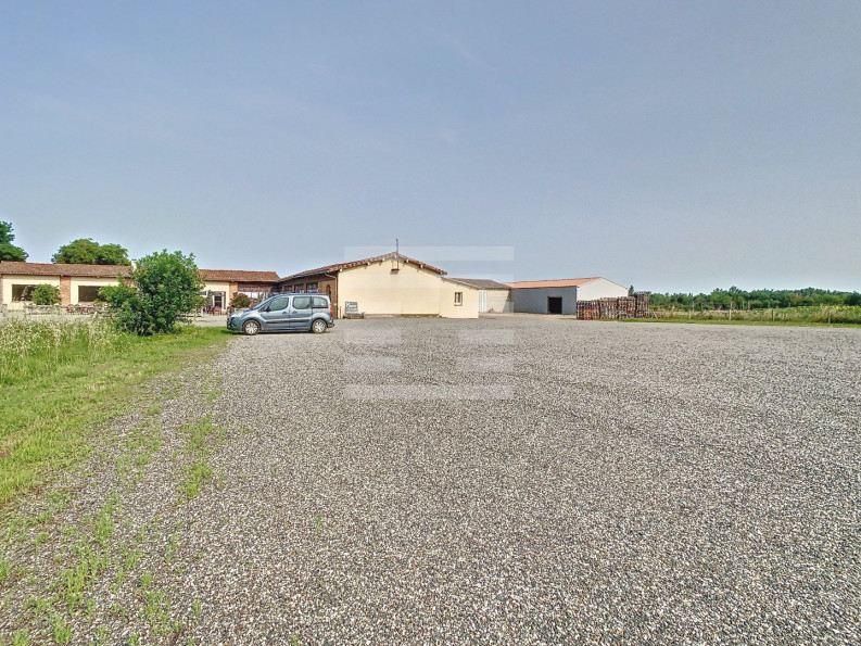 vente Horticole /maraîchage Toulouse - Photo 7