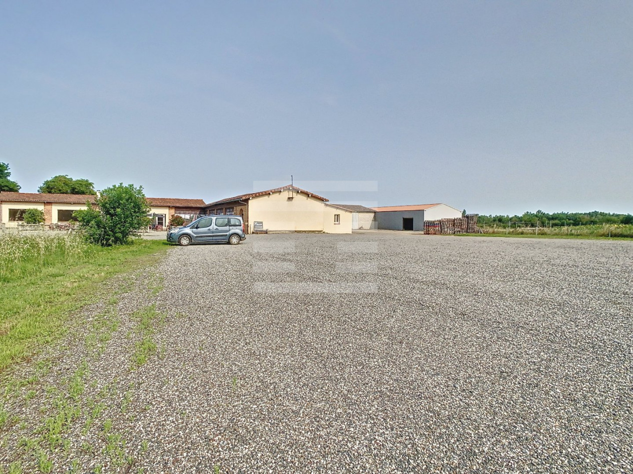 for sale Horticole /maraîchage Toulouse - Photo 7