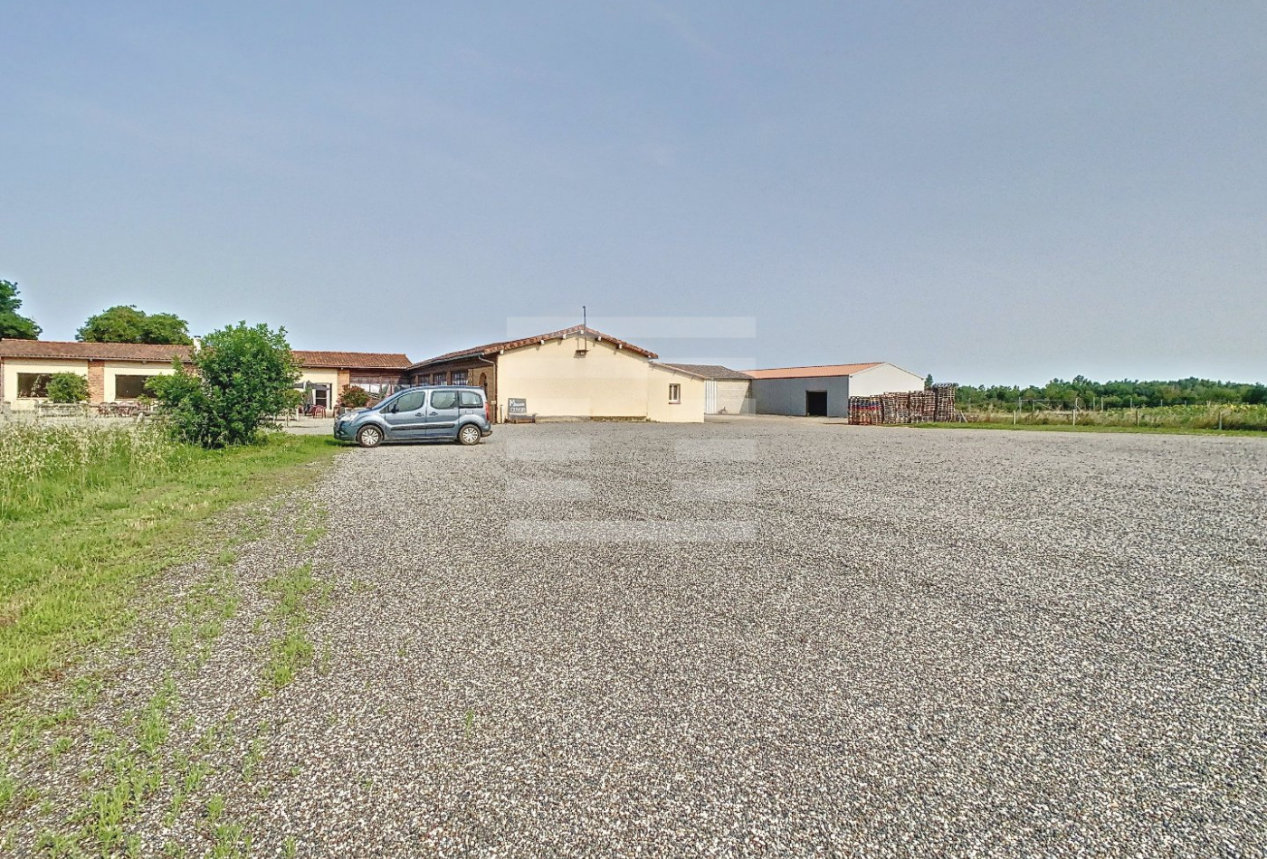 vente Horticole /maraîchage Toulouse - Photo 7