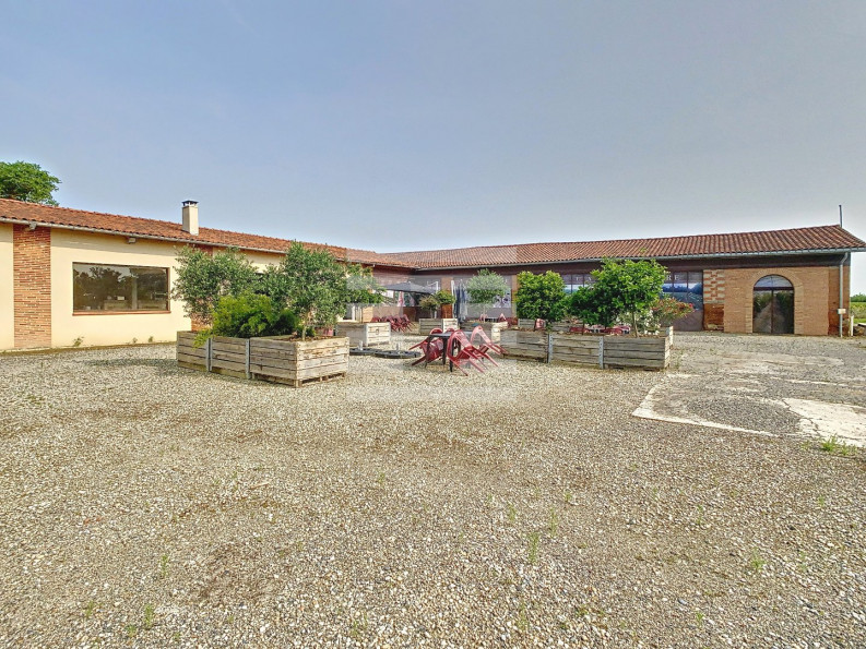 vente Horticole /maraîchage Toulouse - Photo 2