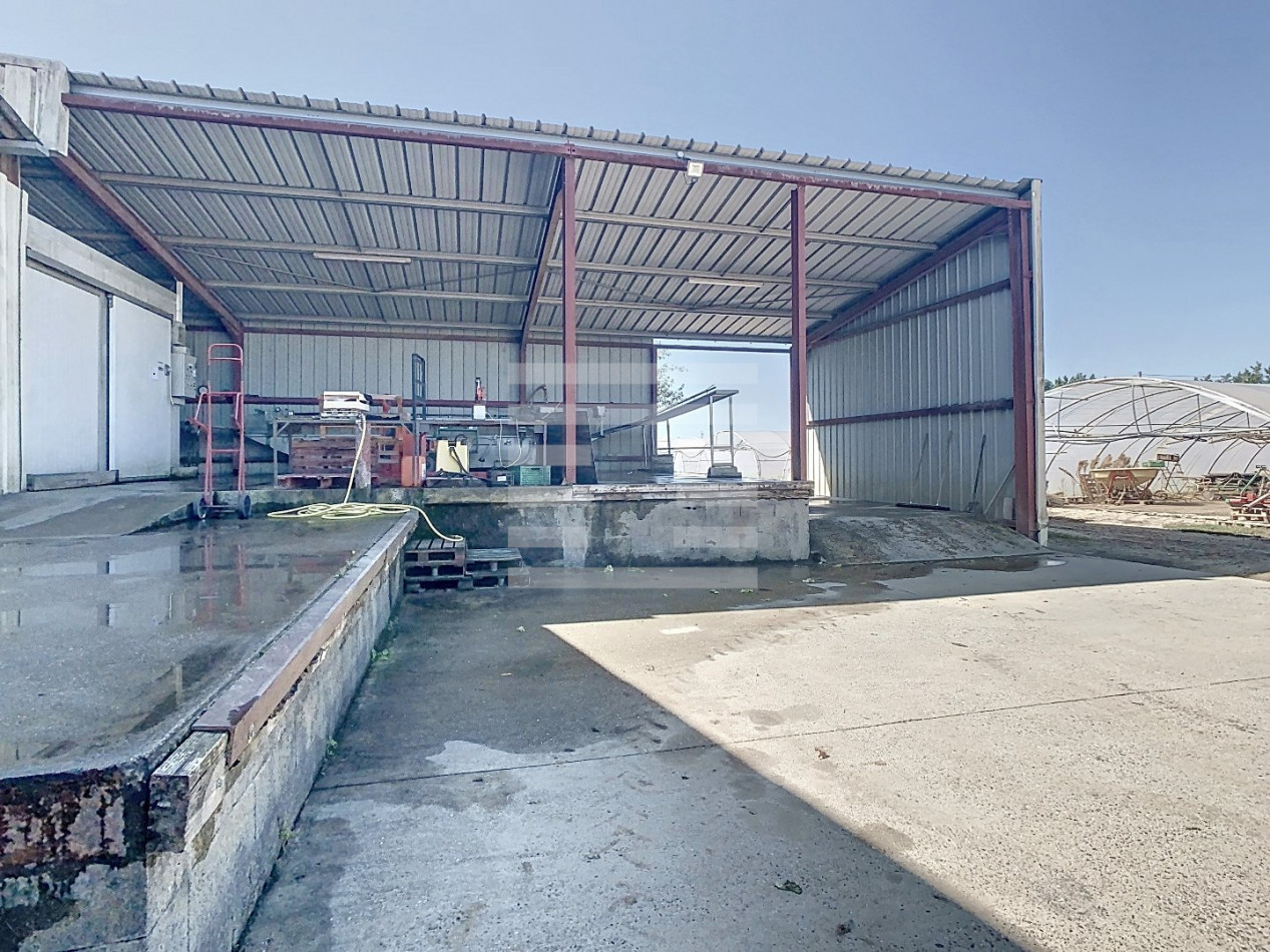 à vendre Horticole /maraîchage Marmande - Photo 7
