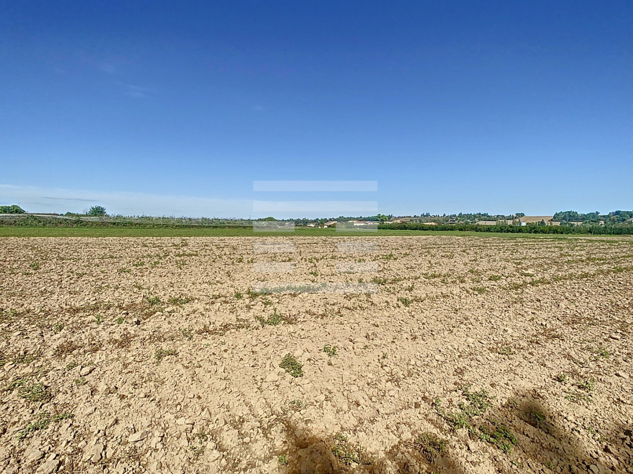 à vendre Horticole /maraîchage Marmande - Photo 12